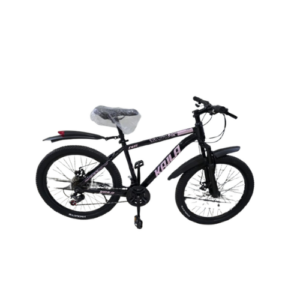 Kaila 24 Inch Mountain Bike 21 Speed Disc Brake