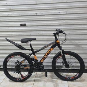 YSMAI 22-Inch Mountain Bicycle 21-Speed